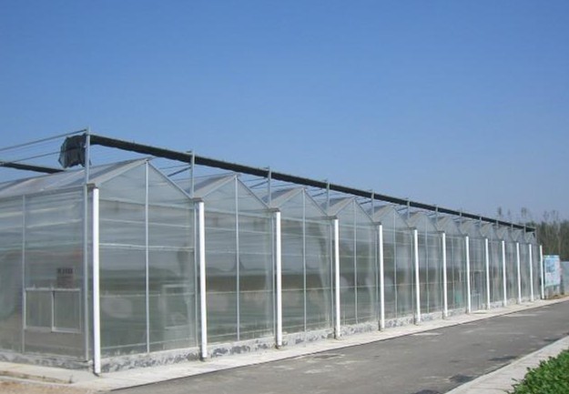 Polycarbonate Greenhouse