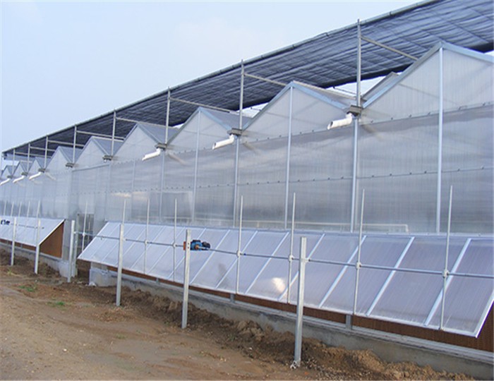 Polycarbonate Greenhouse